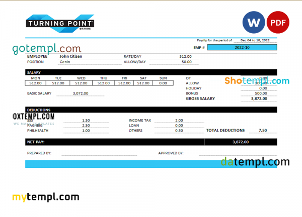 USA Turning Point Brands tobacco company pay stub Word and PDF template