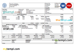 home renovation company paystub template in Word and PDF formats