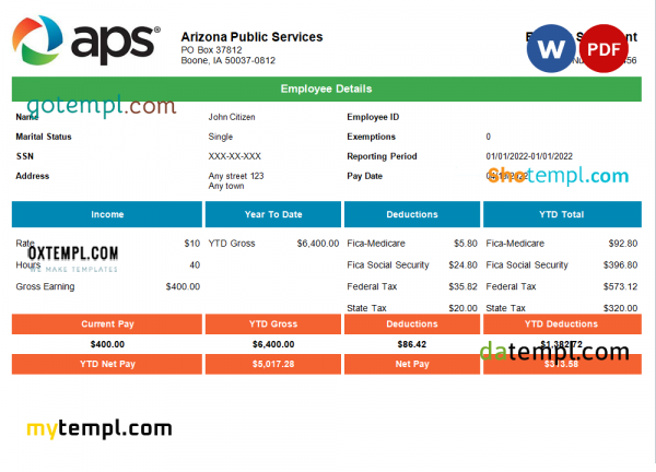 USA APS public services company pay stub Word and PDF template