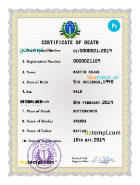 Chile vital record death certificate PSD template