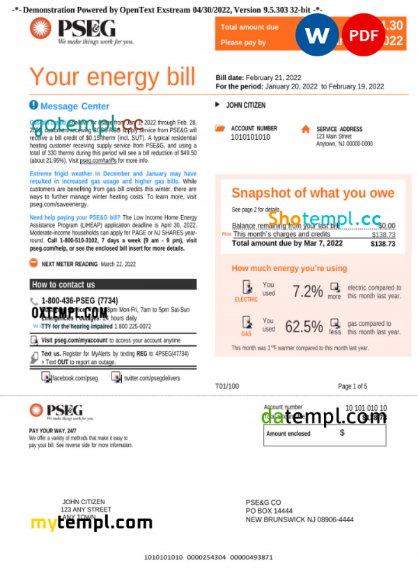 USA New York PSEG utility bill, Word and PDF template, 5 pages