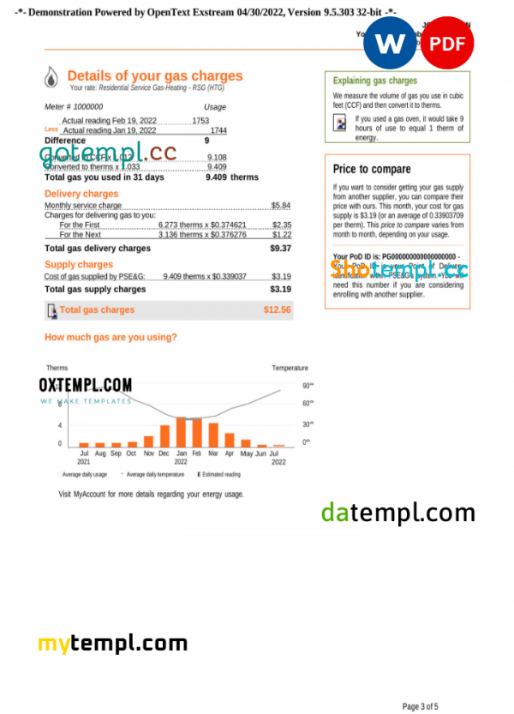 USA New York PSEG utility bill, Word and PDF template, 5 pages