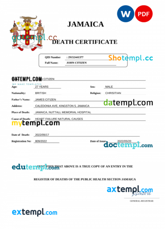 Jamaica vital record death certificate Word and PDF template