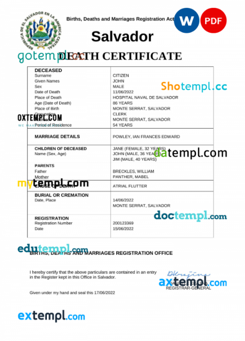 Salvador vital record death certificate Word and PDF template