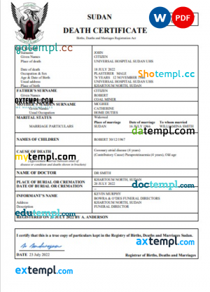 Presston Engineering Corporation pay stub in PDF and Word format