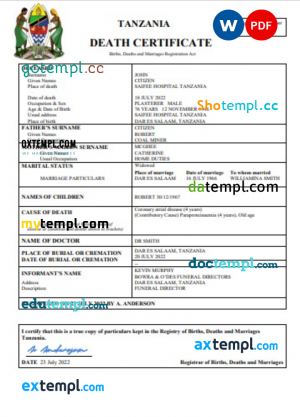 # central mass pay stub template in Word and PDF format