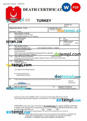 USA KE Group invoice template in Word and PDF format, fully editable