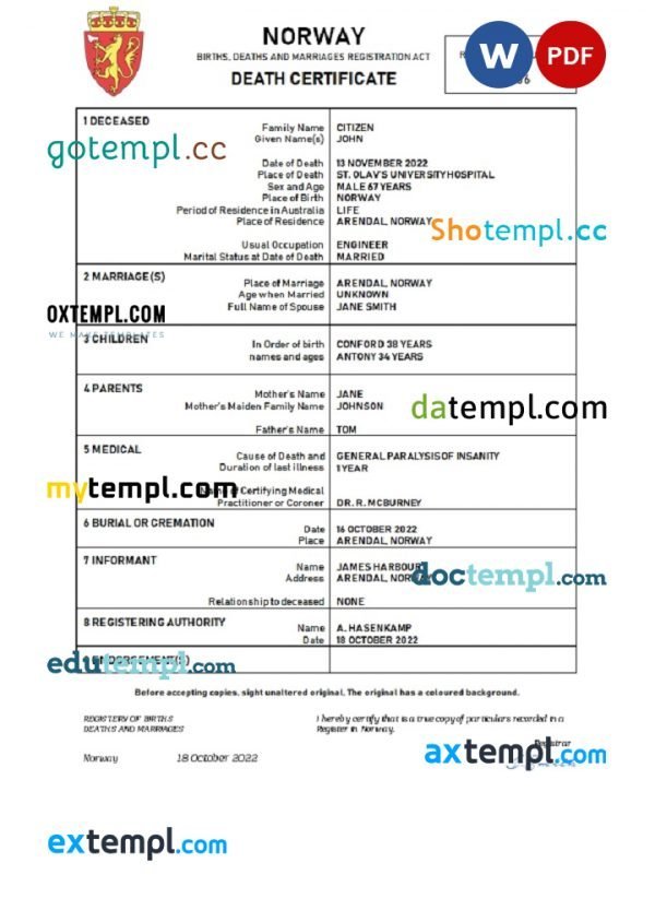 Norway vital record death certificate Word and PDF template