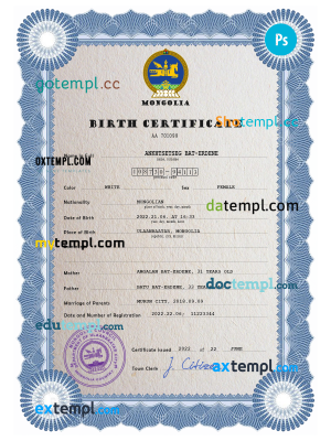 Djibouti e-visa Word and PDF template, fully editable