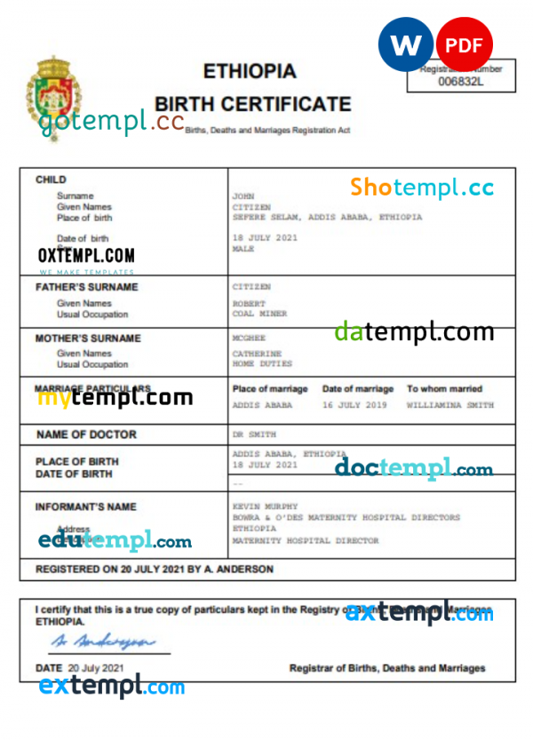 Ethiopia vital record birth certificate Word and PDF template, completely editable