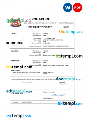 USA MEASURE Twice Financia payslip template in Word and PDF template