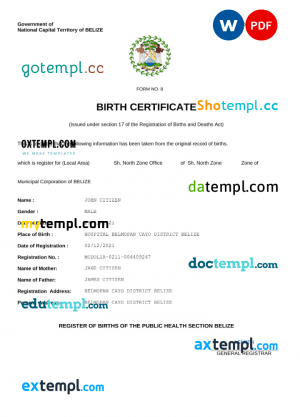 Belize vital record birth certificate Word and PDF template, fully editable