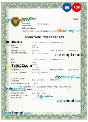 # steady form pay stub template in Word and PDF format