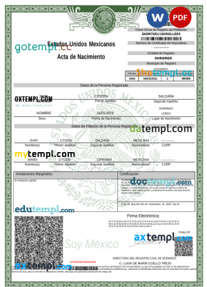USA Georgia Gainesville First century bank statement template in .xls and .pdf file format