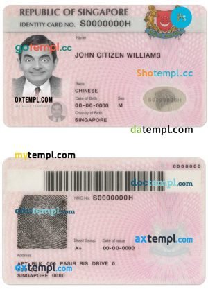 Lebanon driving license PSD files, scan look and photographed image, 2 in 1