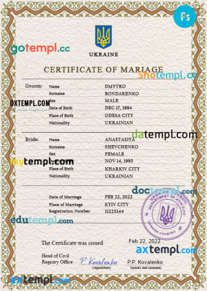 Venezuela business registration certificate Word and PDF template