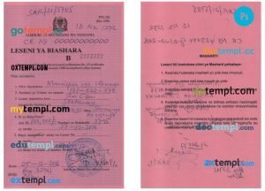 USA passport ID card PSD template, fully editable, version 2