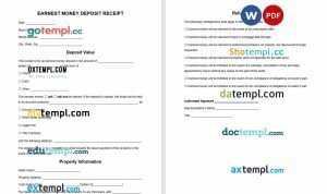 modern  senior web developer resume Word and PDF download template