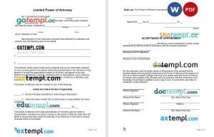 free limited power of attorney form template, Word and PDF format