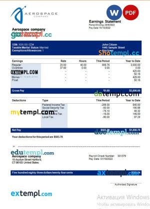 Recreational equipment LLC pay stub template in PDF and WORD format