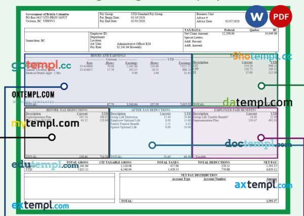 BARGAINING UNIT employee pay stub Word and PDF template