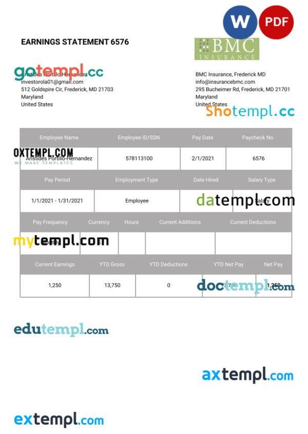 BMC INSURANCE earnings statement Word and PDF template