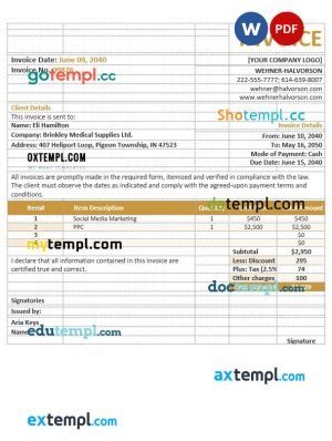 Basic agency invoice template in word and pdf format