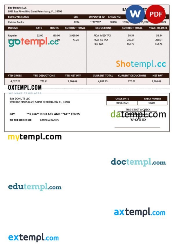 BAY DONUTS LLC earnings statement Word and PDF template