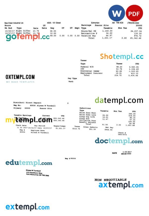 BEE-CLEAN Industrial Ltd. pay stub Word and PDF template