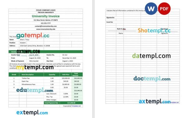 Blank University Invoice template in word and pdf format
