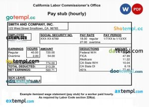 Hourly Wage pay stub Word and PDF template