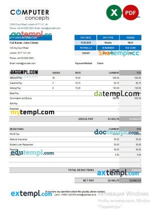 video conferencing company payroll template in Word and PDF formats