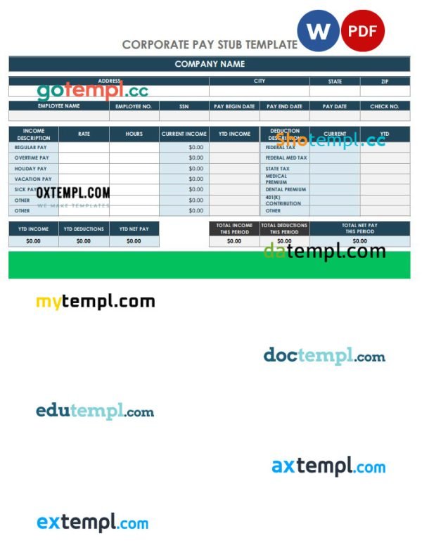 Corporate pay stub Word and PDF template