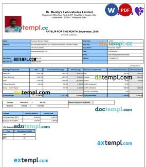 Dr. Reddy’s Laboratories Limited pay stub template in PDF and Word format