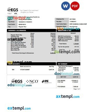 EXPERT GLOBAL SOLUTIONS COMPANY pay stub template in PDF and Word format
