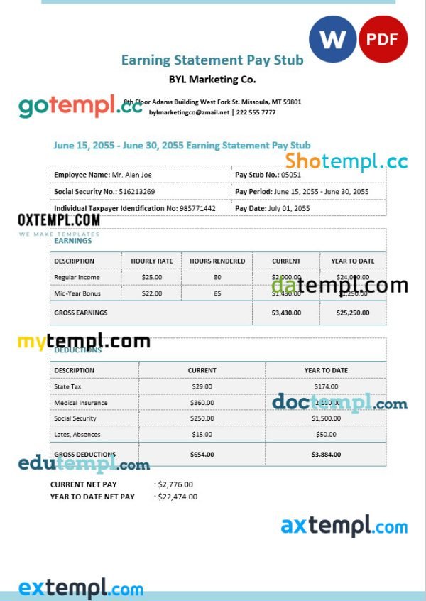 BYL Marketing Co. earnings statement Word and PDF template