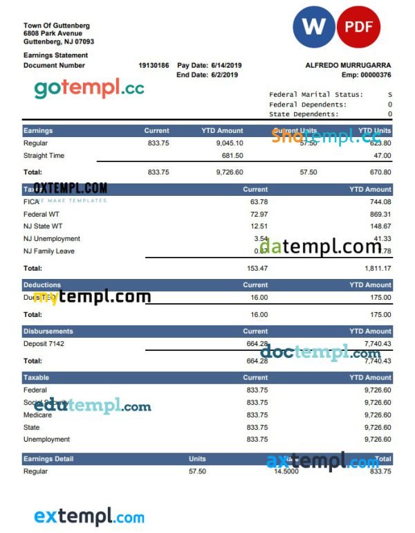 Current YTD Amount earnings statement Word and PDF template