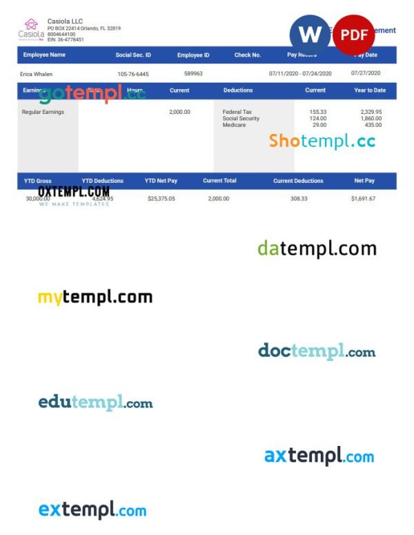 Casiola LLC earnings statement Word and PDF template