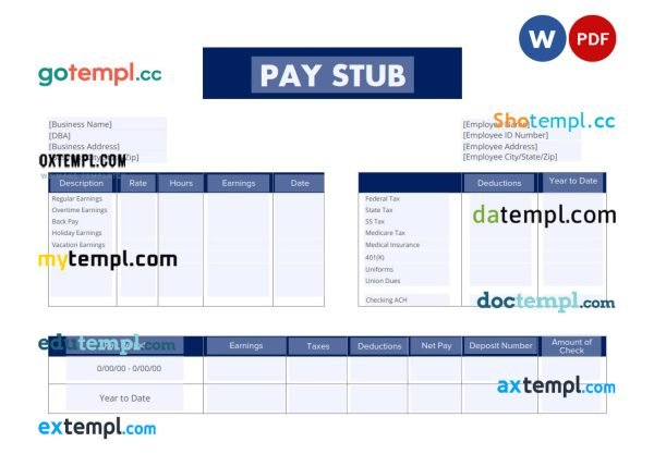 Employee pay stub template in PDF and Word formats, version 6