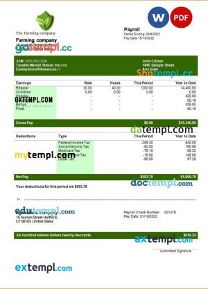 Farming company editable earning statement template in Word and PDF formats