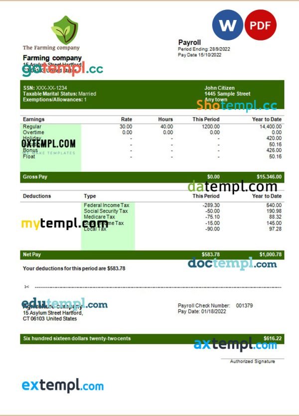 Farming company editable earning statement template in Word and PDF formats