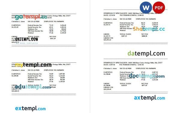 Findingluv specialits company pay stub template in PDF and Word format