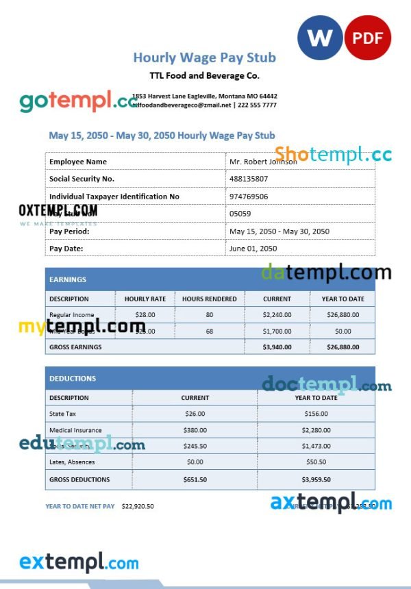 Hourly Wage pay stub Word and PDF template