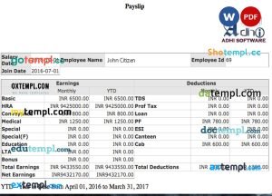 INDIA ADHI Software company payslip template in Word and PDF formats