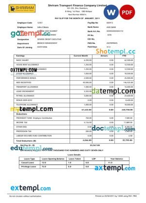 tourism company paystub template in Word and PDF formats