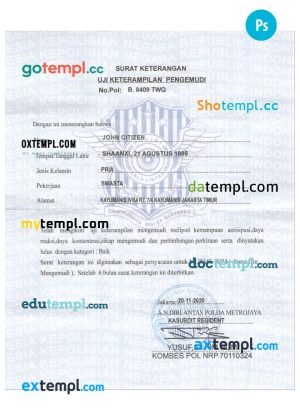 USA Cisco Systems, Inc. hardware company pay stub Word and PDF template