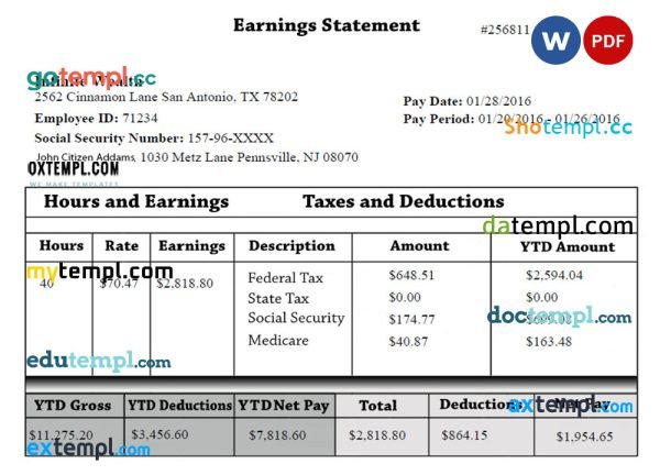 INFINITE wealth Australia earning statement template in Word and PDF formats