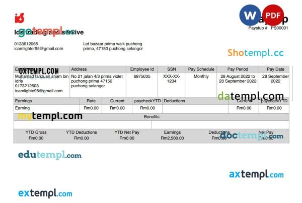 Ids trading and service payslip Word and PDF template