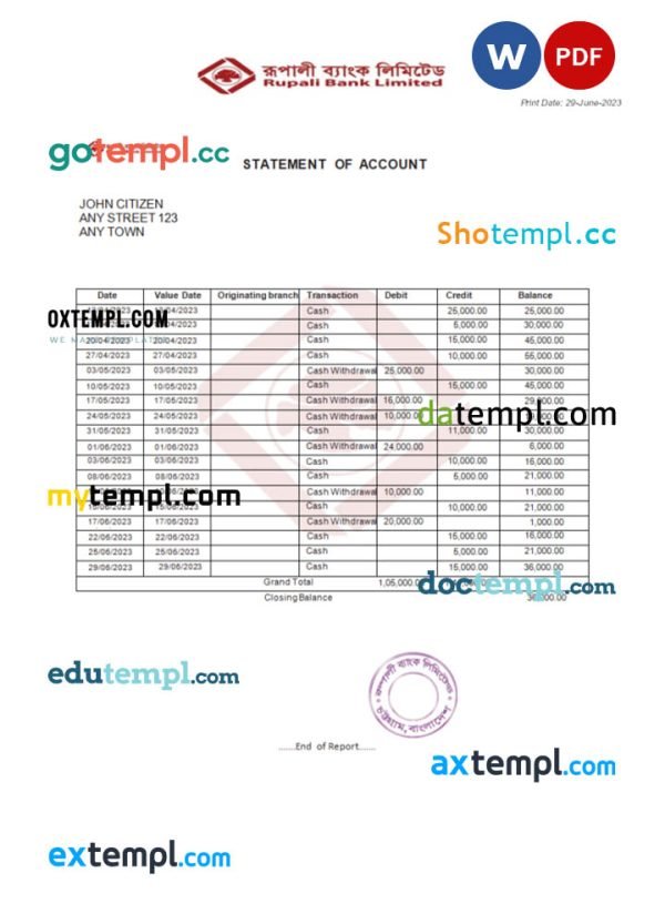 India Rupali Bank Limited bank statement Word and PDF template