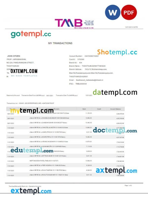 INDIA TAB bank statement Word and PDF template